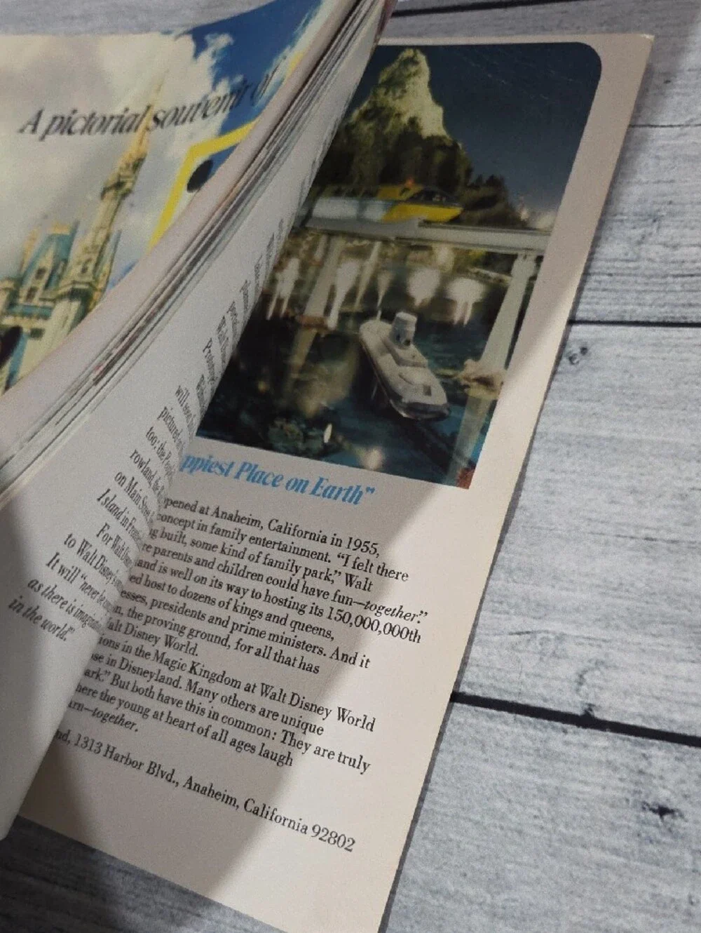 Disney Walt Disney World Pictorial Souvenir Book Paperback